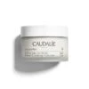 Caudalie Vinoperfect Crema Resplandor Antimanchas 50Ml 2 Caudalie Vinoperfect Crema Resplandor Antimanchas 50Ml -Parafarmacia-online caudalie vinoperfect crema resplandor antimanchas 50ml